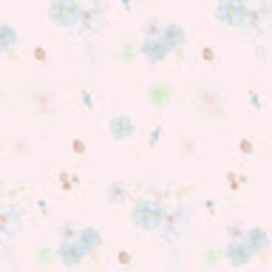 Meet your Posher, Holly